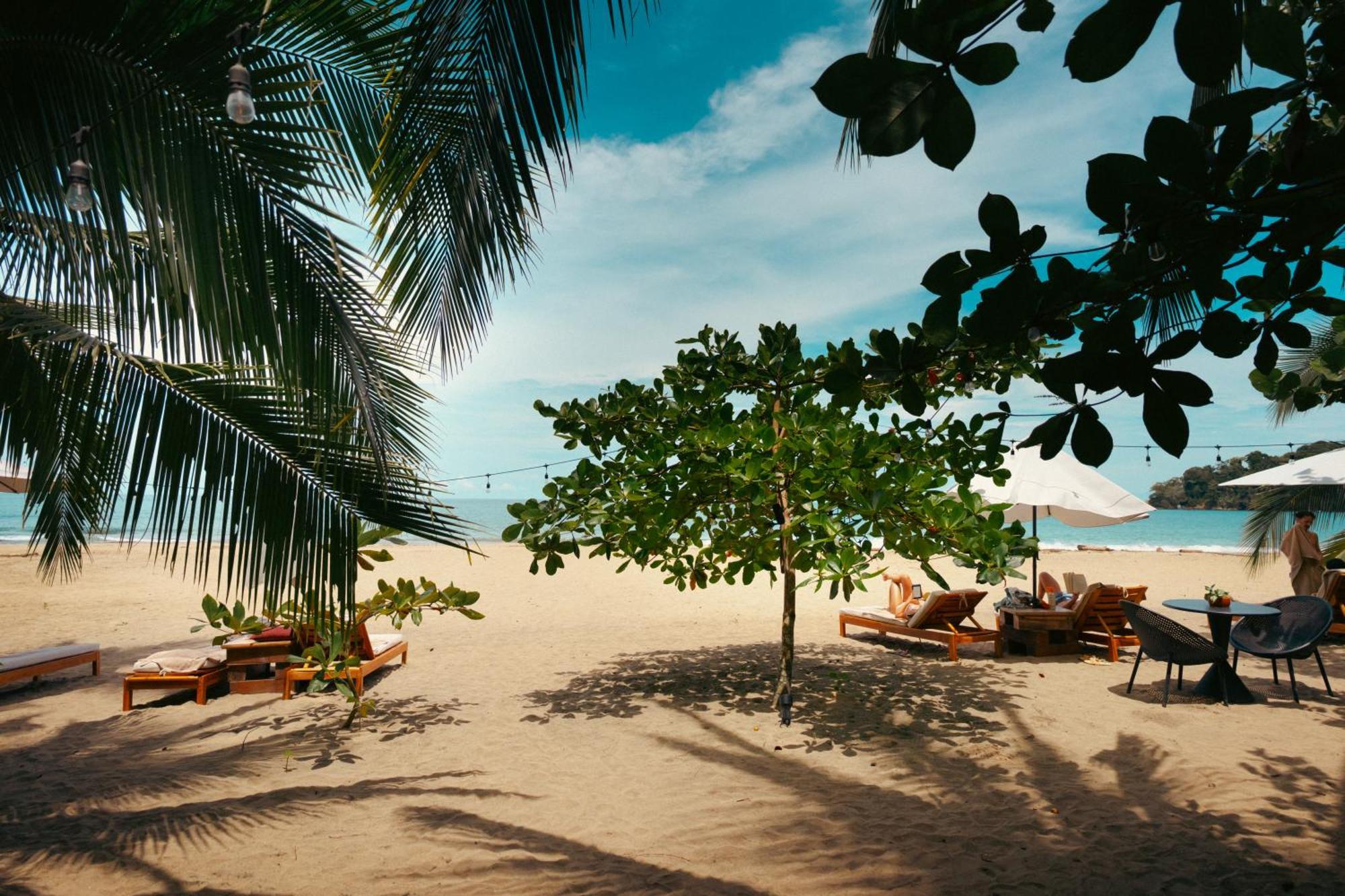 Awa Beach Hotel Puerto Viejo de Talamanca Exteriör bild