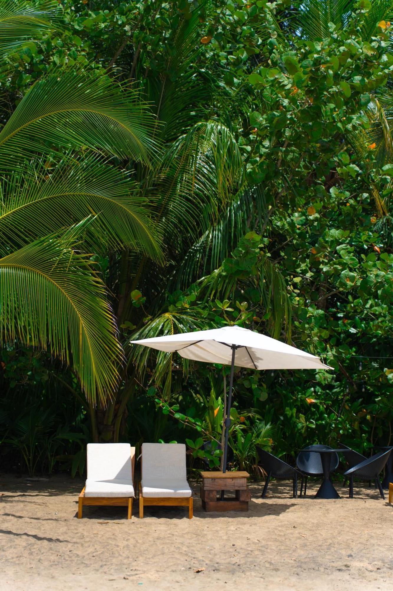 Awa Beach Hotel Puerto Viejo de Talamanca Exteriör bild