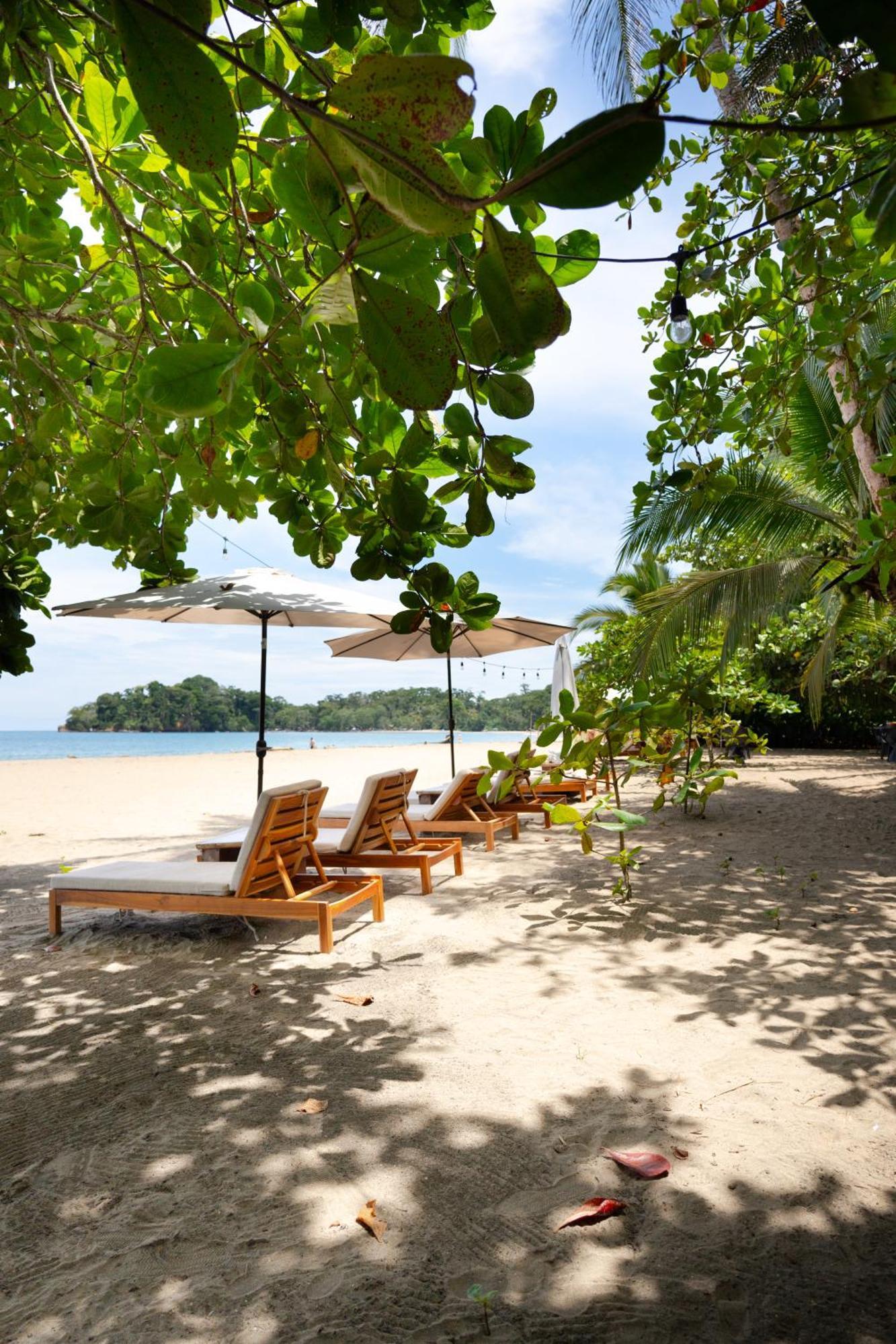 Awa Beach Hotel Puerto Viejo de Talamanca Exteriör bild